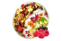 Herbata Owocowa LIPOWO MALINOWA PREMIUM (KT) (50g) Prezent Na Mikołajki !